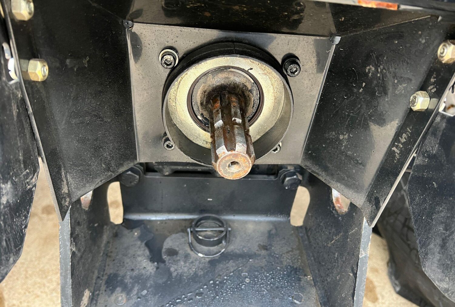 20